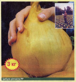 post-47237-1237521036_thumb.jpg