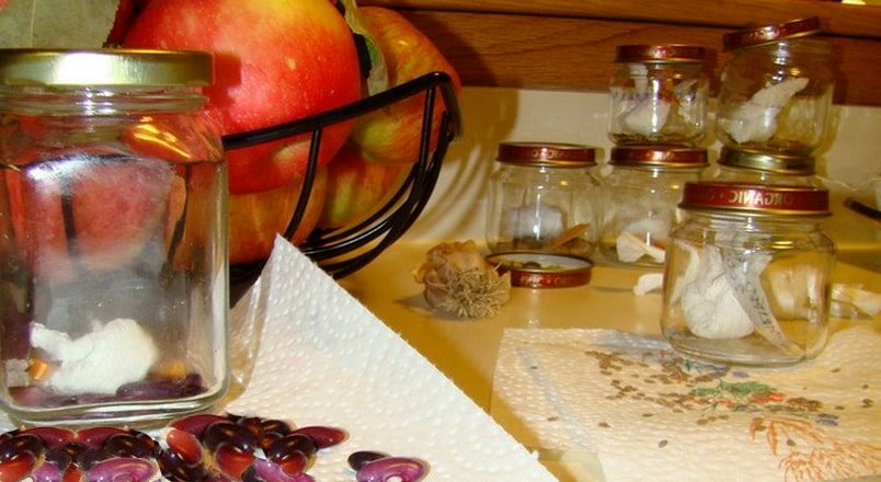 Длительное хранение семян, свойства и особенности