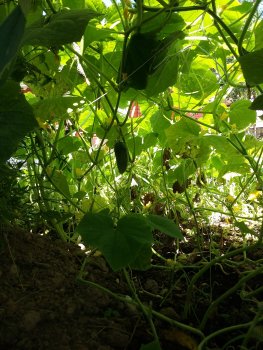 20190703_103823.jpg
