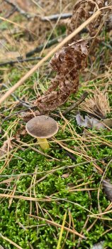 20201004_105342.jpg