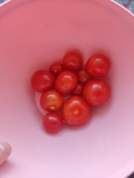 IMG_20250330_125819.thumb.jpg.b1b6759e2f503d80142fd8636f0f19f3.jpg