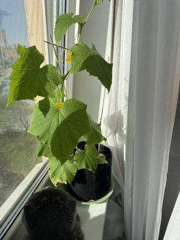 IMG_5875.jpeg