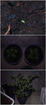 Collage_20250917_132213.jpg