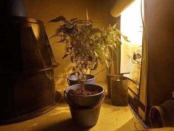 IMG_20260511_232714.jpg