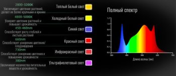 PSX_20260708_155030.thumb.png.6982e4b0201afa8fcb677bb0955c301e.png