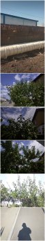 Collage_20260809_184557.jpg