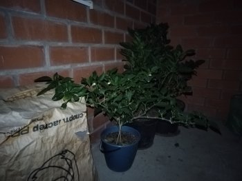IMG_20260722_002853.jpg
