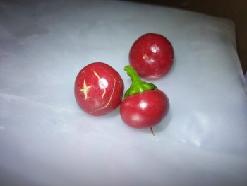 IMG_20260804_113248.thumb.jpg.370f58cb67bd18789b9c6b1447b4e904.jpg